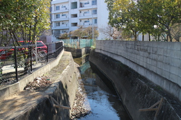 {愛染川」香西小学校南東の橋から上流側