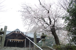 平賀神社