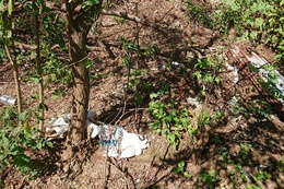 木の生茂った中から出てきた不法投棄ゴミ
