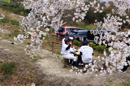 桜に囲まれた感じで撮ってみました