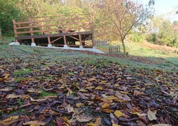 荘川桜の落ち葉が良い感じの香西里山