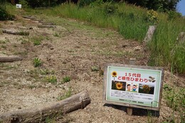 こちらもポップを立てました(環境衛生組合協議会撮影) こちらもポップを立てました