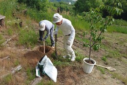 2本目の植樹(環境衛生組合協議会撮影) 2本目の植樹