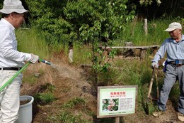 鉢を作ってたっぷりの水やり(環境衛生組合協議会撮影) 鉢を作ってたっぷりの水やり