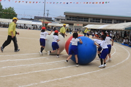 大玉ころがし(ホームページ委員会撮影) 大玉ころがし