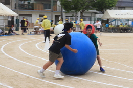 大玉ころがし(ホームページ委員会撮影) 大玉ころがし