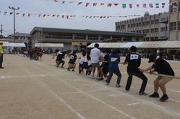 綱引き(ホームページ委員会撮影) 綱引き