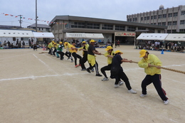 綱引き(ホームページ委員会撮影) 綱引き
