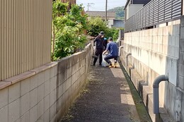 kn