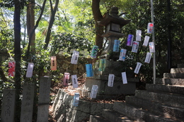 讃岐提灯点灯(ホームページ委員会撮影) 讃岐提灯点灯