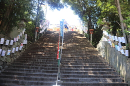 讃岐提灯点灯(ホームページ委員会撮影) 讃岐提灯点灯
