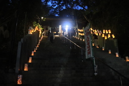 讃岐提灯点灯(ホームページ委員会撮影) 讃岐提灯点灯