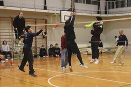 �\�I���[�O�̗l�q