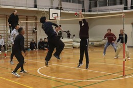 �\�I���[�O�̗l�q