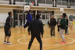 �\�I���[�O�̗l�q