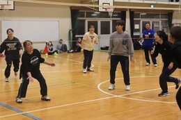 �\�I���[�O�̗l�q