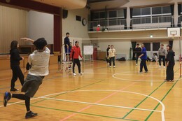 �\�I���[�O�̗l�q