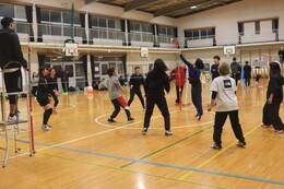 �\�I���[�O�̗l�q