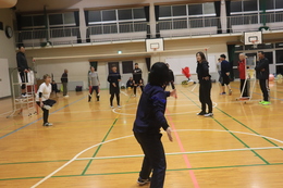 �\�I���[�O�̗l�q