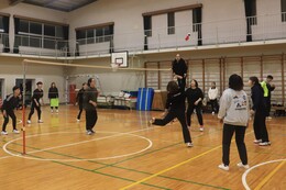 �\�I���[�O�̗l�q