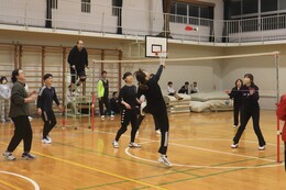 �\�I���[�O�̗l�q