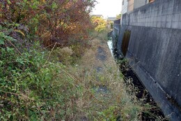 ����k�������H