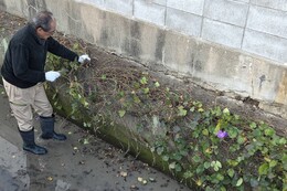 ���ˁE�ސ��i������j