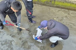 ���ˁE�ސ��i������j