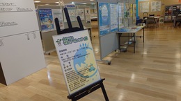 �����s�[���J�[�{���V�e�B�W���