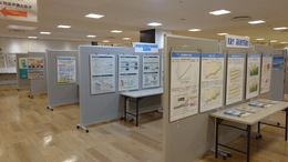 �����s�[���J�[�{���V�e�B�W���