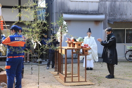 �_���̗l�q