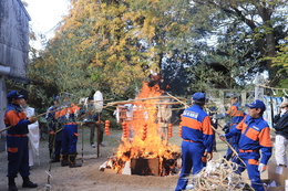 ���h�c�撣���Ă��܂�