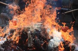 ��ʎQ���݂̂���Ă�