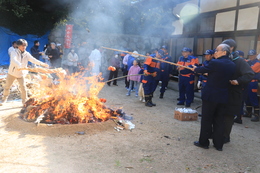 ��ʎQ���݂̂���Ă�