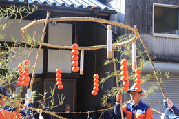 ���h�Ȃ݂��񂪂Ԃ牺�����Ă��܂�