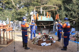 ���h�c�������Ă��܂�