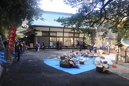 �_�����n�܂�܂�