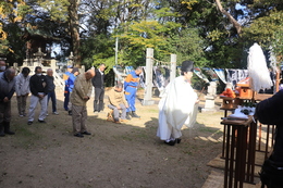 �_���̗l�q