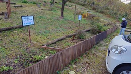 �F�򂹂��y���ߕ�