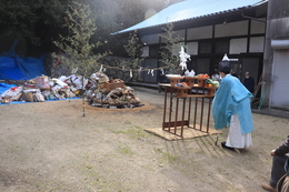 �_���̗l�q