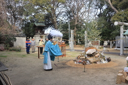 �_���̗l�q