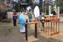 �_���̗l�q