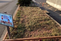 ��Ɗ�������A�G���A