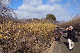 �X�~���������}���Ă��܂���