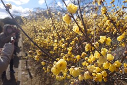 �X�~���������}���Ă��܂���