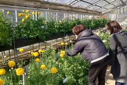 �����̃��i���L�����X