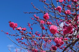 �炫�n�߂̍g�~