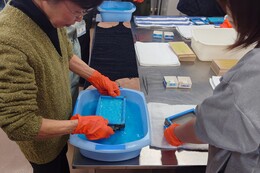 ���T�C�N���̌��A�������Ńn�K�L���