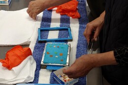 ���T�C�N���̌��A�������Ńn�K�L���