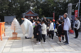 �Q�q�̕׋���